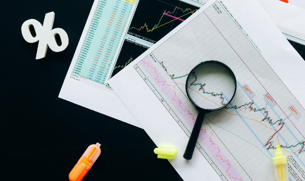 How to Grow a Money Tree: Profitable Tips to Make and Invest in It