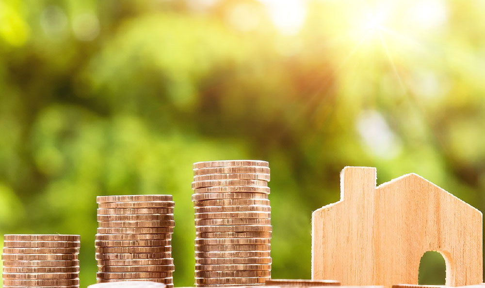 Stocks for Beginners: What and How?